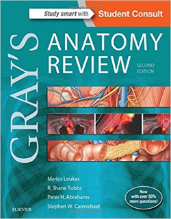 Gray's Anatomy Review