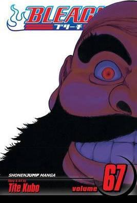 Bleach, Vol. 67