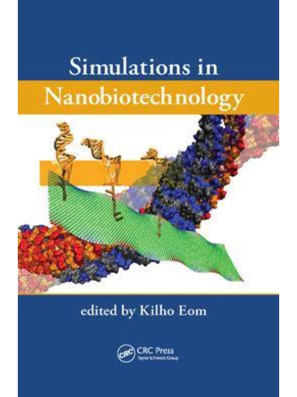Simulations in Nanobiotechnology