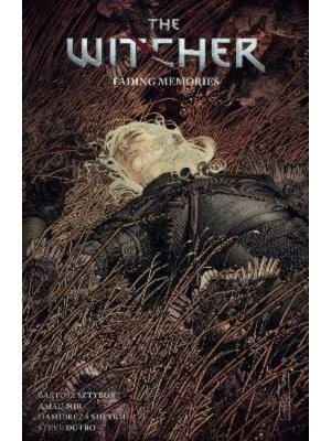 The Witcher Volume 5: Fading Memories