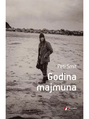 Godina majmuna