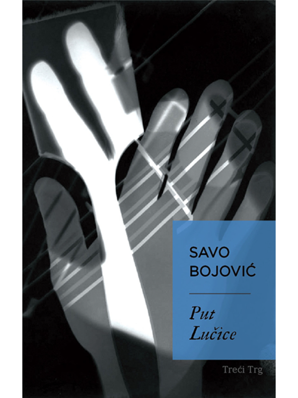 9788664071550 Put Lučice - Image 1