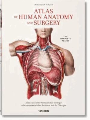 Bourgery. Atlas of Human Anato