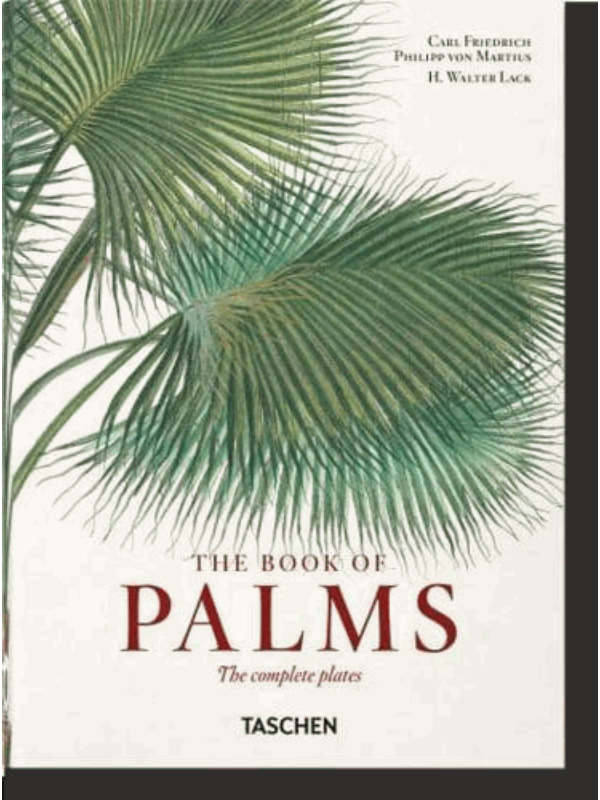 9783836587815 Martius. The Book of Palms. 40 - Image 1