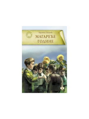 Magareće godine