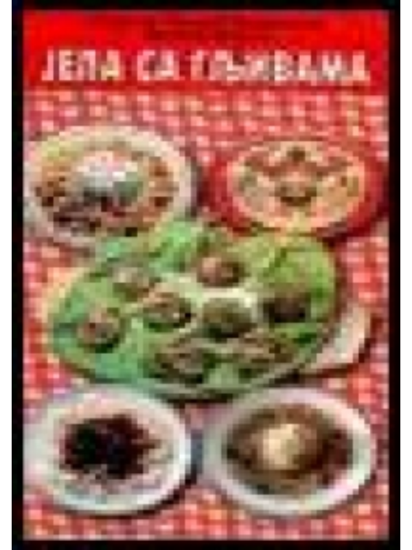 9788671574389 Jela sa gljivama - Image 1