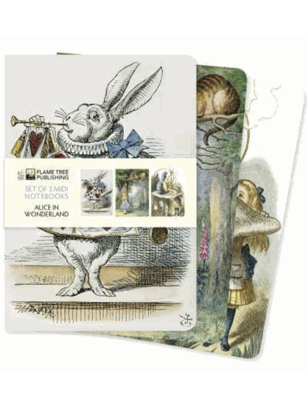 9781839647673 Alice in Wonderland Set of 3 Midi Notebooks - Image 1