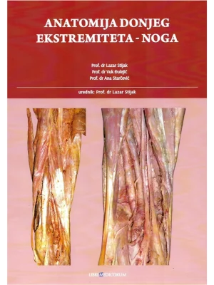 Anatomija donjeg ekstremiteta : noga