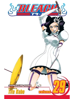 Bleach, Vol. 29
