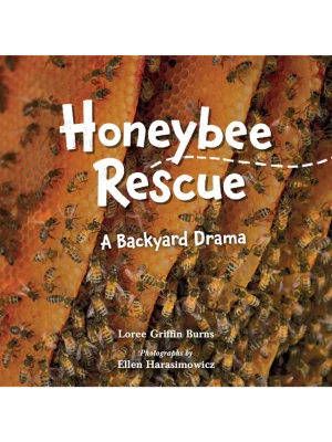 Honeybee Rescue: A Backyard Drama