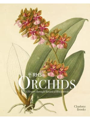 RHS Orchids - ACC Art Books