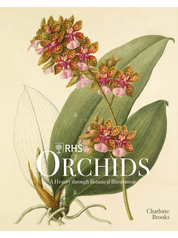 9781788841610 RHS Orchids - ACC Art Books - Image 1