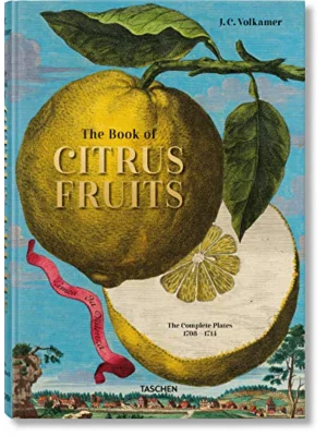 Citrus Fruits