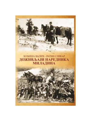 Doživljaji narednika Miladina