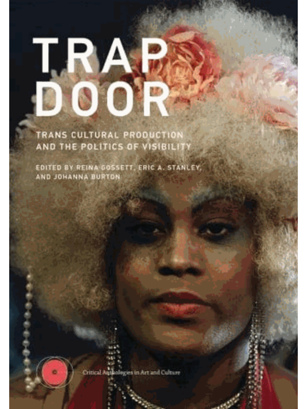 9780262544894 Trap Door: Trans Cultural Production and the Politics of Visibility - Image 1