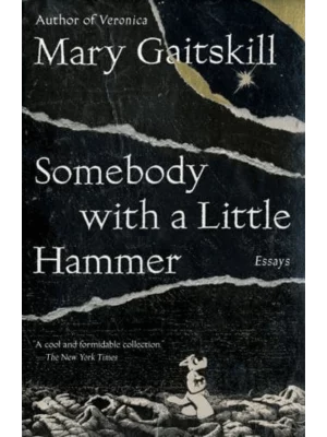 Somebody with a Little Hammer