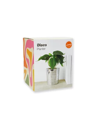 Saksija disko