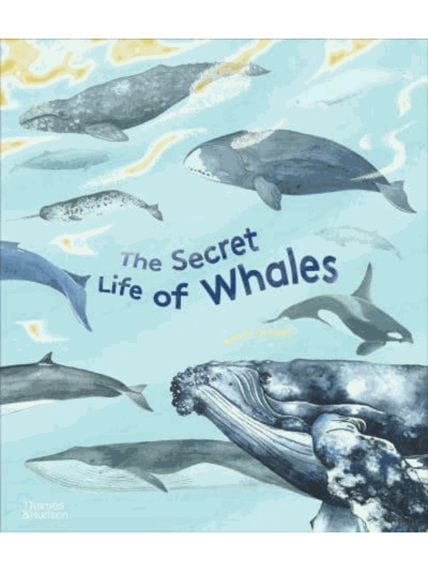 9780500652671 The Secret Life of Whales - Image 1