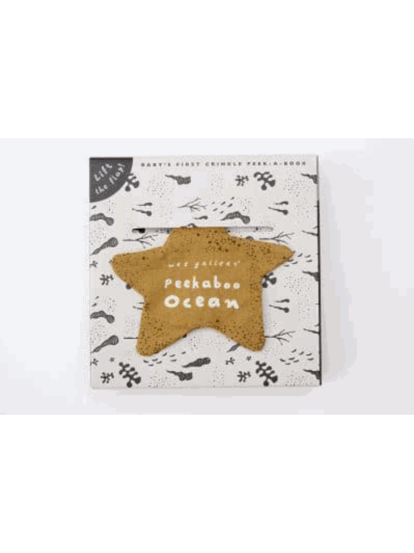 9780711275331 Peekaboo Ocean - Image 1