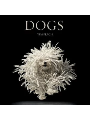 Dogs/gods