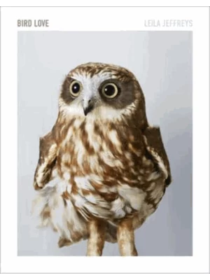 Bird Love