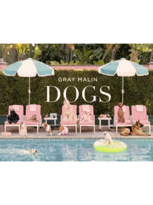 Dogs