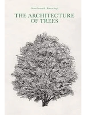 The Architecture of Trees